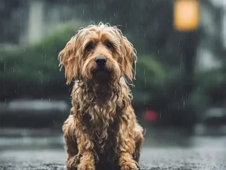 Метеорологи предупреждают о резком ухудшении погоды на Канарах