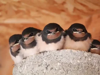 В Испании всё меньше жителей живут в собственном апартаменте