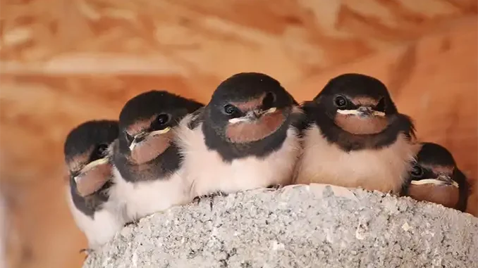 В Испании всё меньше жителей живут в собственном апартаменте