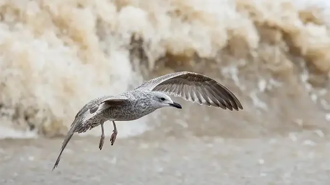 Океан унёс шесть жизней на Канарах в январе: большинство - туристы