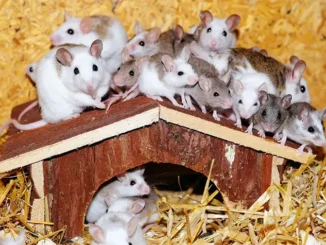 Суммируйте, вычитайте - делите: цифры потока и туристов не сходятся