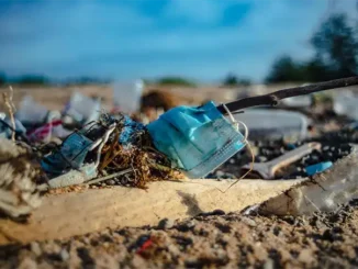 Пляжи Tenerife после шторма: отходы, бактерии и жалобы на болезни