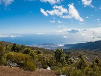 Землетрясение у Тенерифе ощутили жители по всему острову