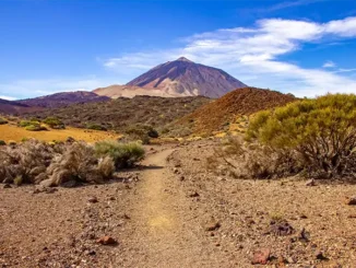 Учёные прокомментировали серию землетрясений на Тенерифе