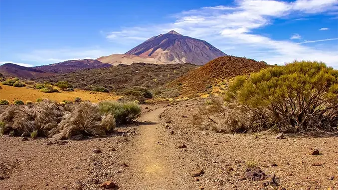 Учёные прокомментировали серию землетрясений на Тенерифе