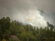 На Канарах вводится режим повышенной готовности к лесным пожарам