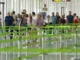 Туристический поток на Канары пошёл на спад