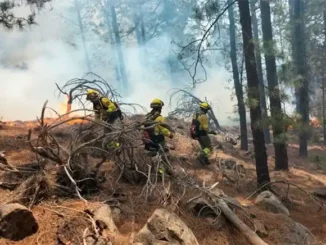 Tenerife и Gran Canaria переводят в режим "alerta" по погоде