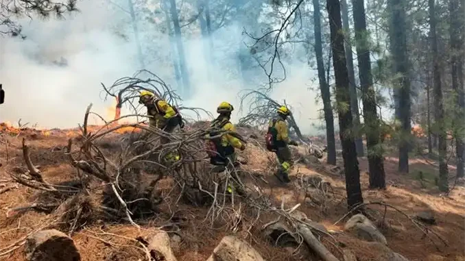 Tenerife и Gran Canaria переводят в режим "alerta" по погоде