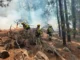 Tenerife и Gran Canaria переводят в режим "alerta" по погоде