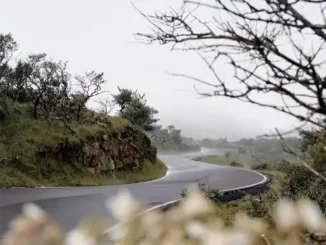 На островах - жёлтое предупреждение из-за ливней и гроз